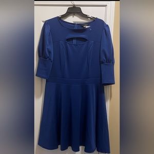 NWT Ashley Stewart Plus  Peek-a-Boo Dress Size 14/16